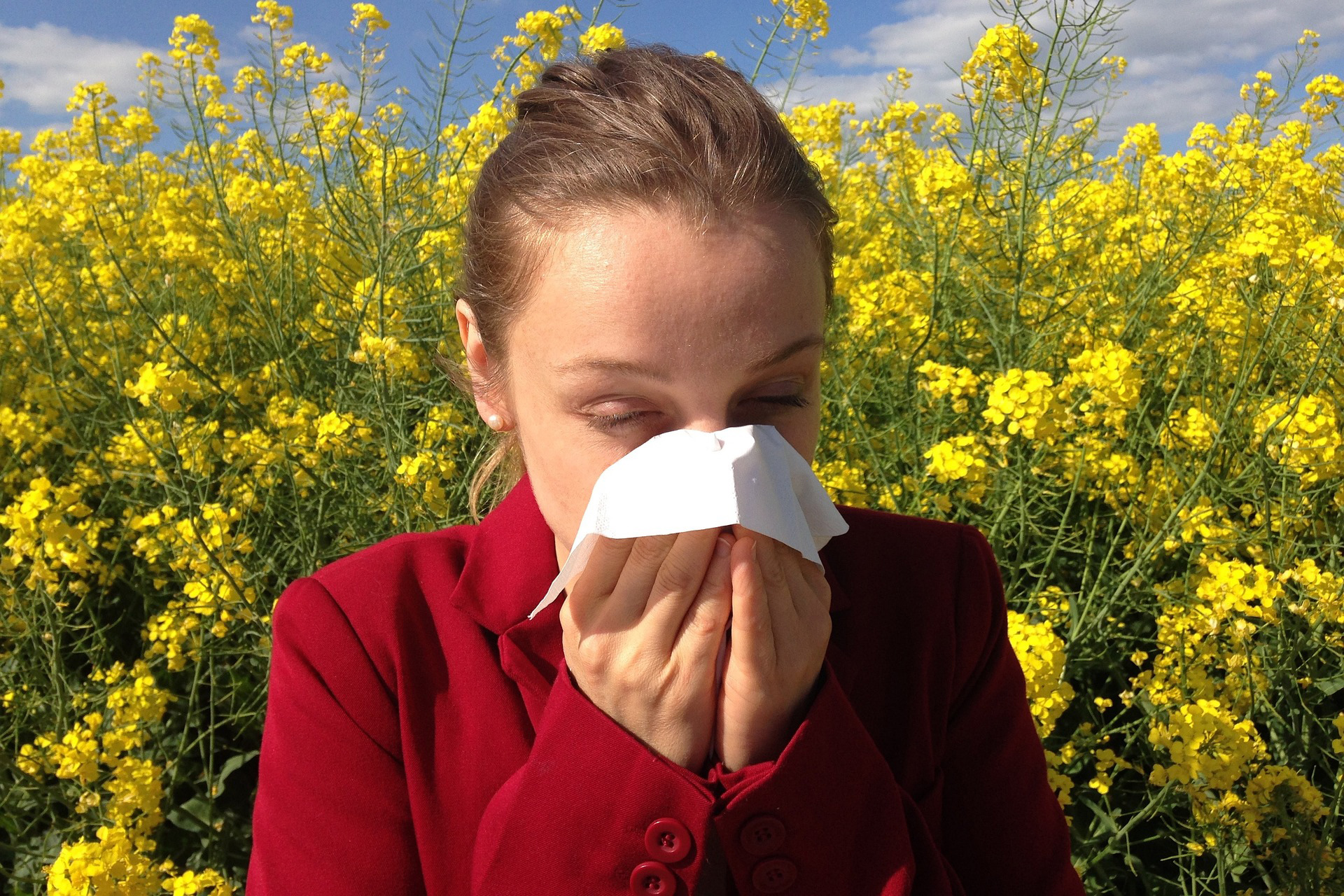 Lire la suite à propos de l’article Qu’est-ce que l’allergie ?